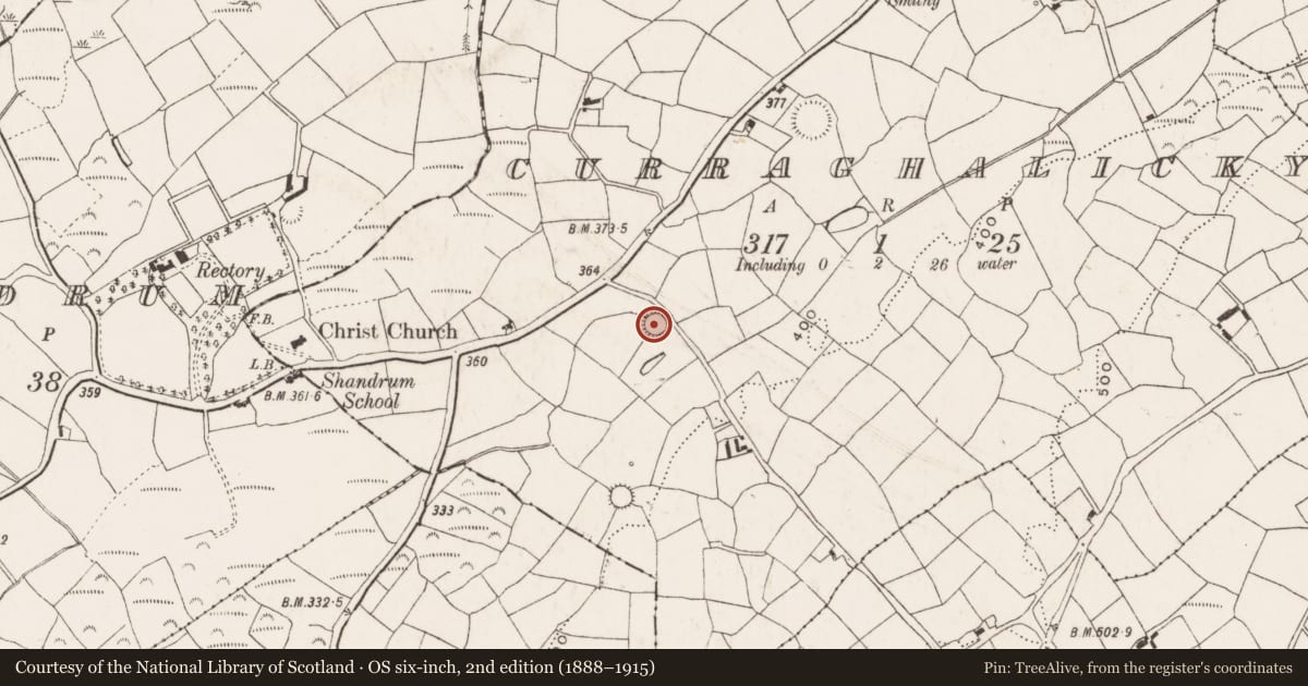 Ordnance Survey six-inch map, 2nd edition (1888–1915) covering the location of Ringfort - rath, Curraghalicky, County Cork, with a pin at the register's coordinates