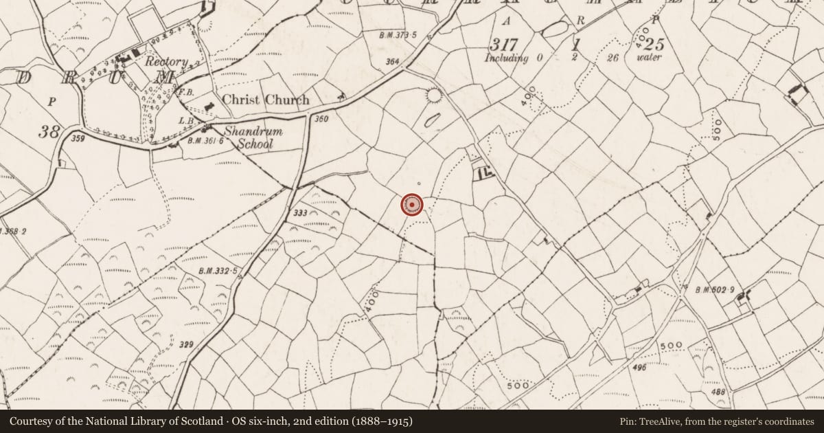 Ordnance Survey six-inch map, 2nd edition (1888–1915) covering the location of Ringfort - rath, Curraghalicky, County Cork, with a pin at the register's coordinates