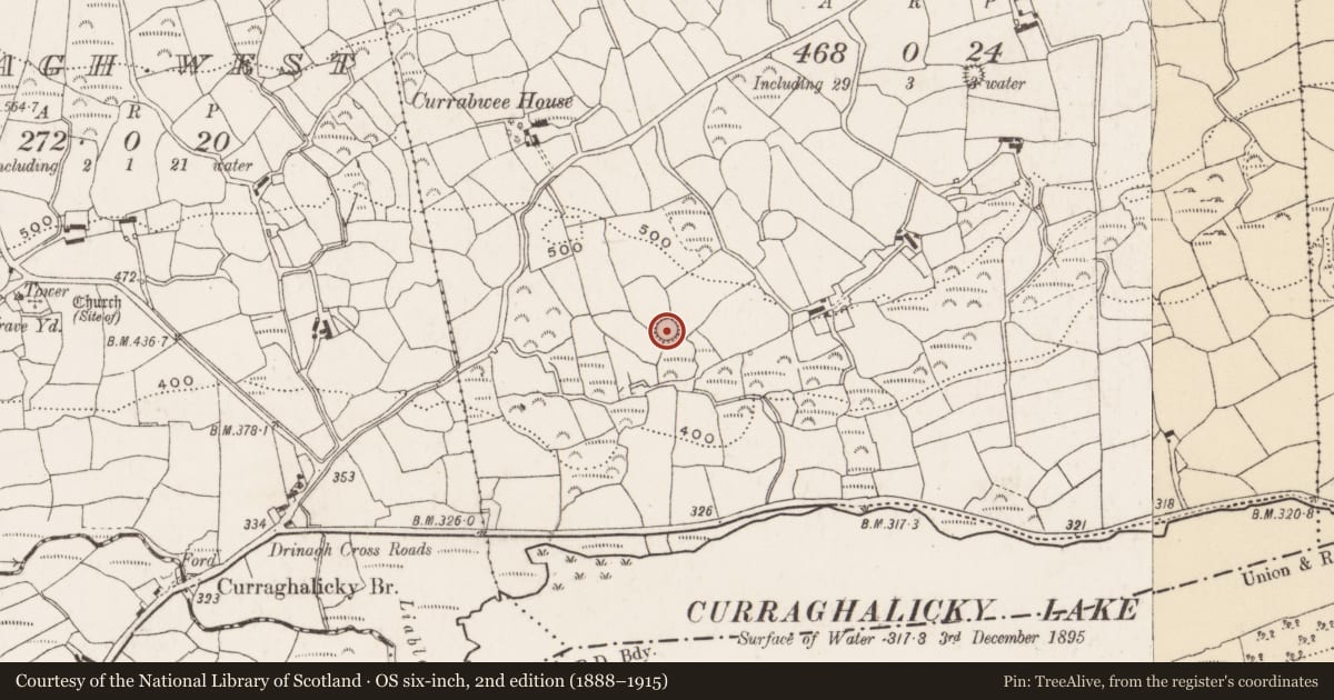 Ordnance Survey six-inch map, 2nd edition (1888–1915) covering the location of Ringfort - rath, Currabwee, County Cork, with a pin at the register's coordinates