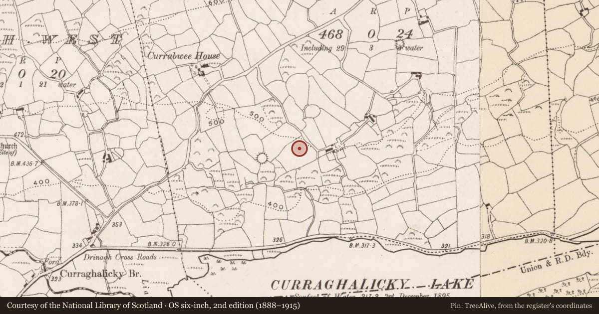 Ordnance Survey six-inch map, 2nd edition (1888–1915) covering the location of Fulacht fia, Currabwee, County Cork, with a pin at the register's coordinates