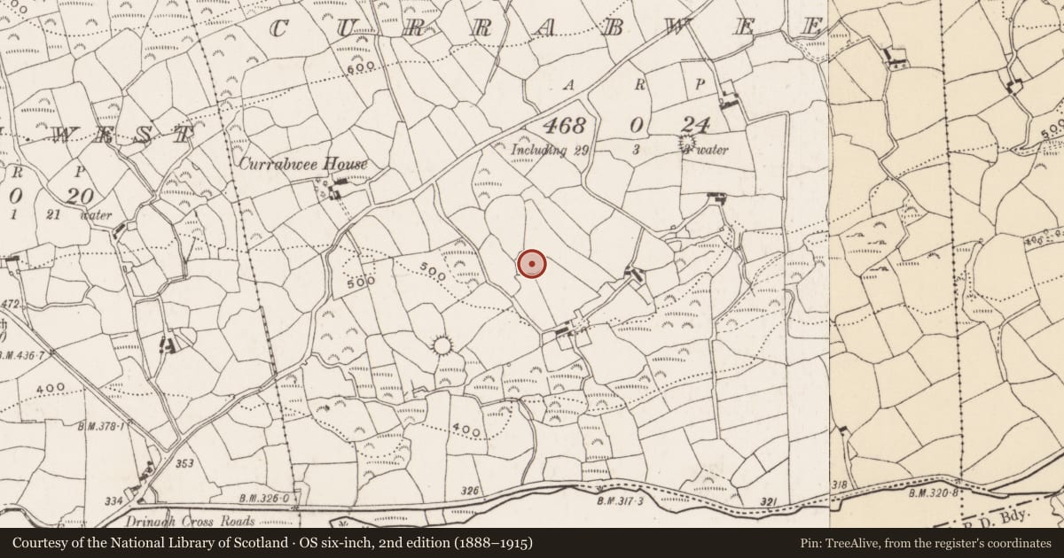 Ordnance Survey six-inch map, 2nd edition (1888–1915) covering the location of Ringfort - rath, Currabwee, County Cork, with a pin at the register's coordinates