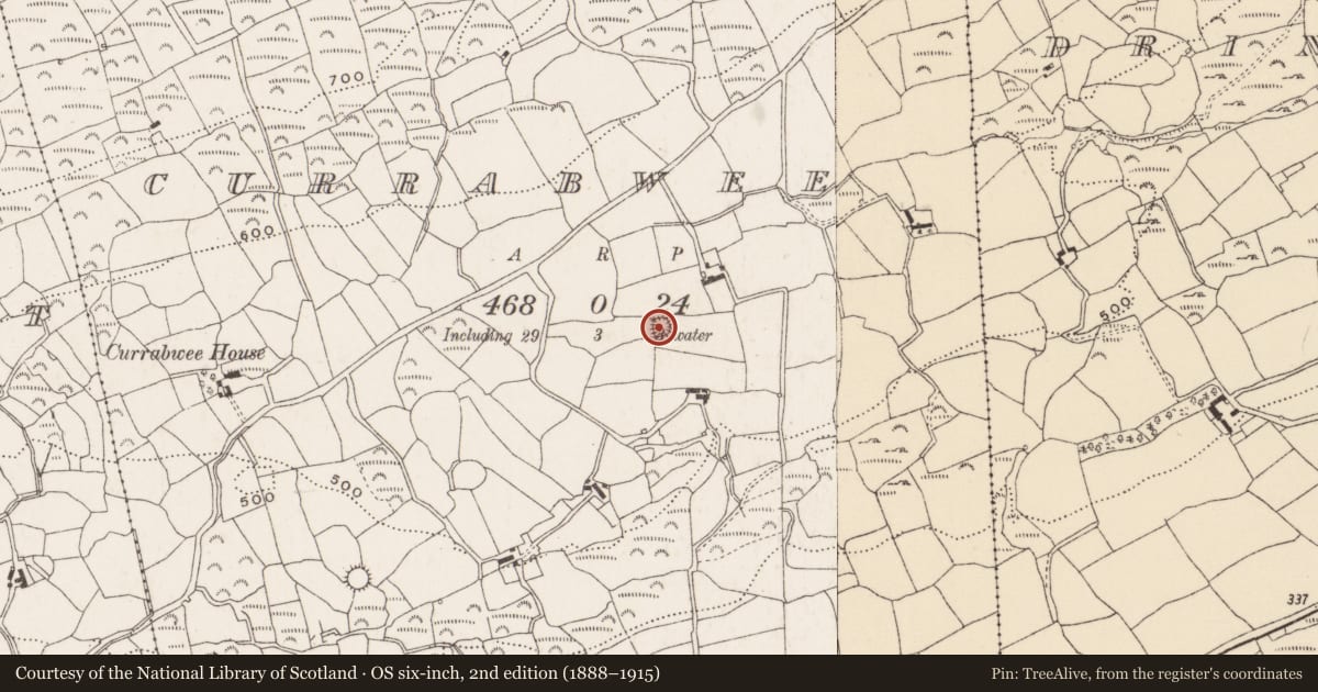 Ordnance Survey six-inch map, 2nd edition (1888–1915) covering the location of Ringfort - rath, Currabwee, County Cork, with a pin at the register's coordinates