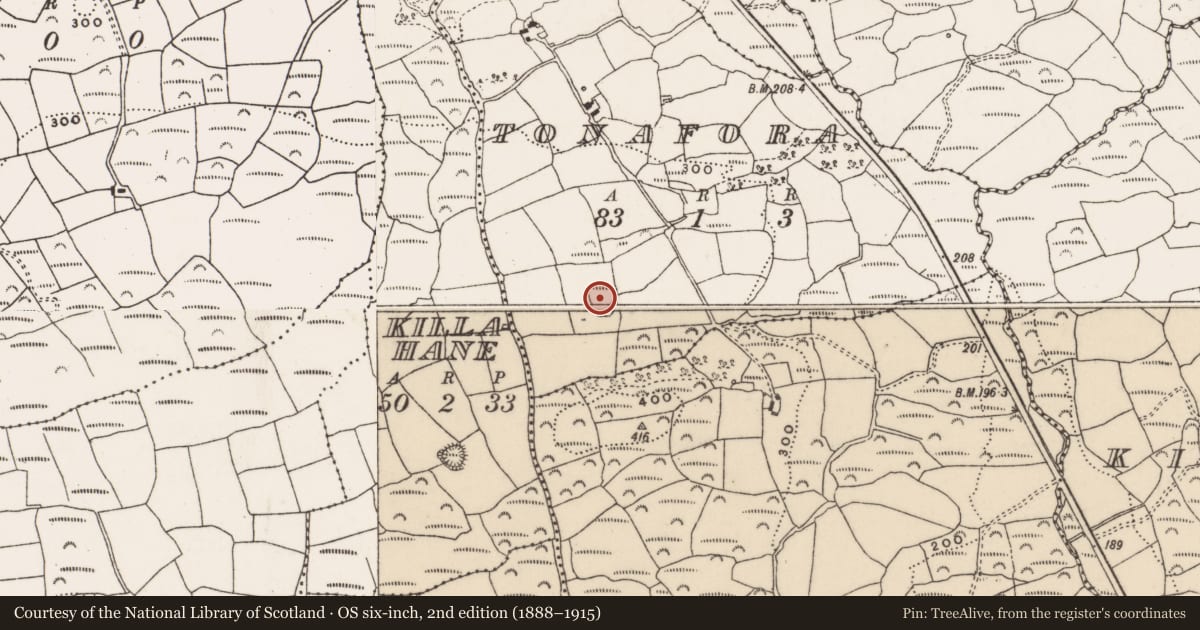Ordnance Survey six-inch map, 2nd edition (1888–1915) covering the location of Ringfort - rath, Tonafora, County Cork, with a pin at the register's coordinates