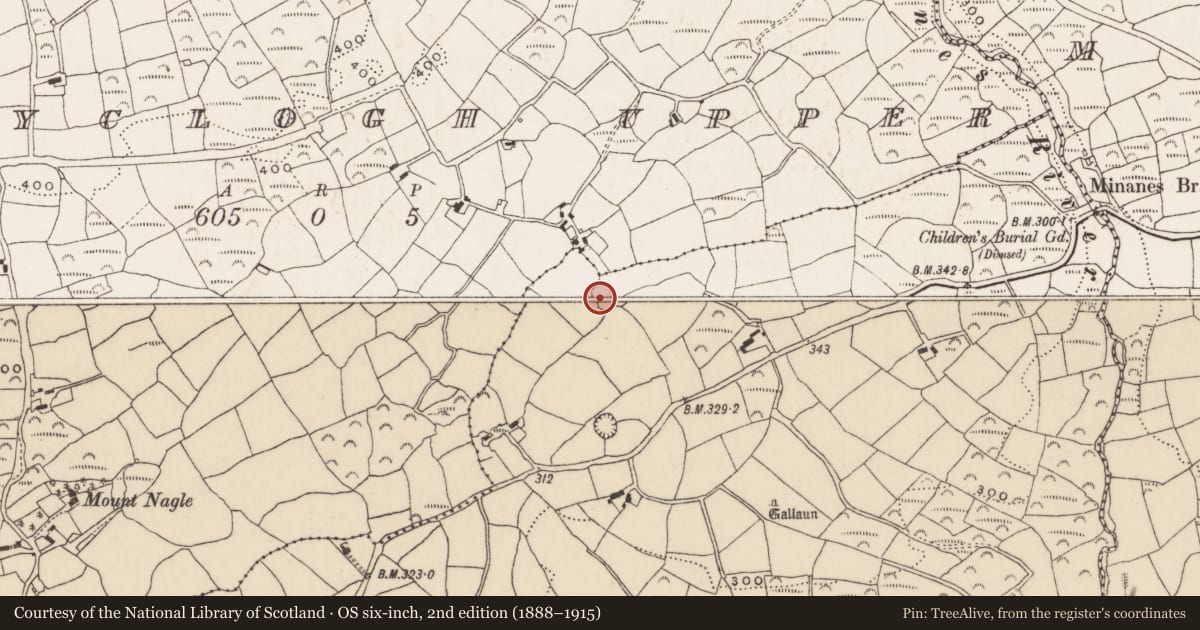 Ordnance Survey six-inch map, 2nd edition (1888–1915) covering the location of Ringfort - rath, Derryclogh Lower, County Cork, with a pin at the register's coordinates