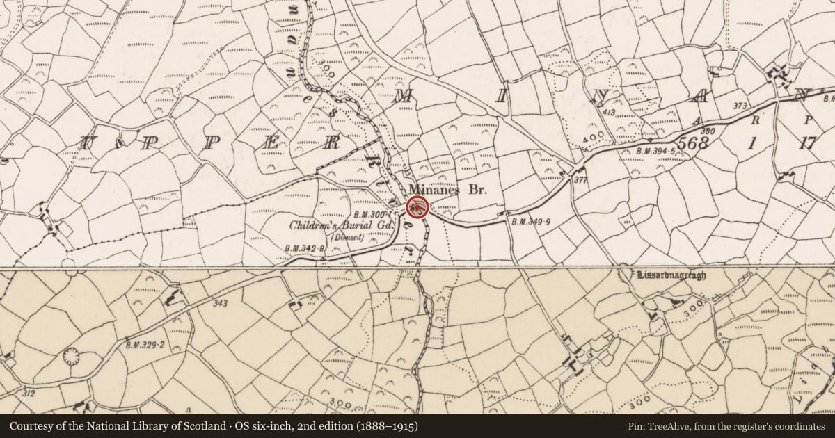 Ordnance Survey six-inch map, 2nd edition (1888–1915) covering the location of Bridge, Derryclogh Lower, Minanes, County Cork, with a pin at the register's coordinates