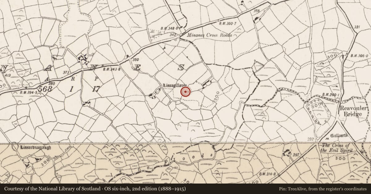 Ordnance Survey six-inch map, 2nd edition (1888–1915) covering the location of Ringfort - rath, Minanes, County Cork, with a pin at the register's coordinates