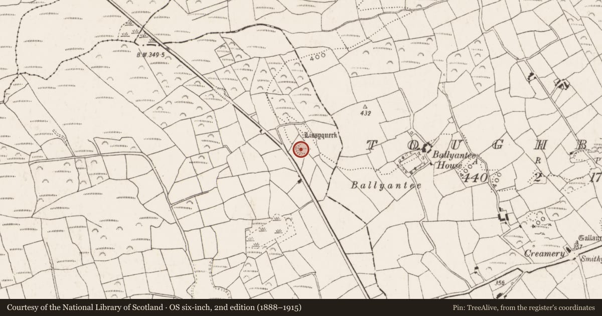 Ordnance Survey six-inch map, 2nd edition (1888–1915) covering the location of Ringfort - rath, Minanes, County Cork, with a pin at the register's coordinates