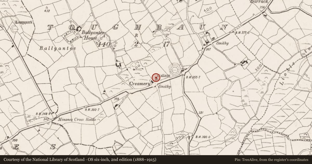 Ordnance Survey six-inch map, 2nd edition (1888–1915) covering the location of Standing stone, Toughbaun, County Cork, with a pin at the register's coordinates