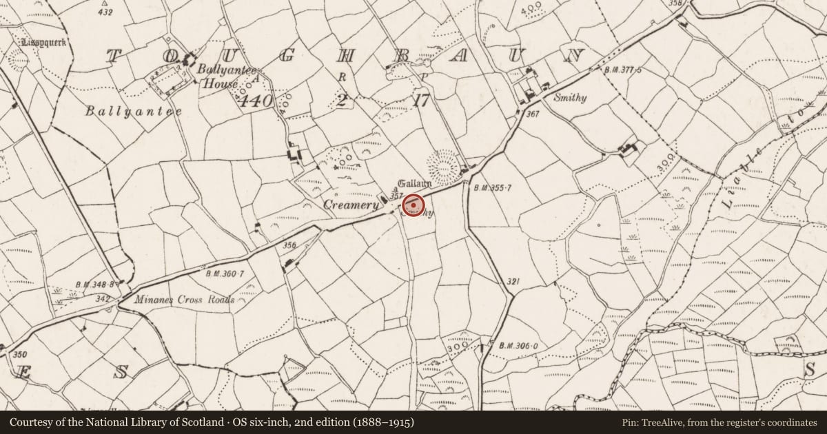 Ordnance Survey six-inch map, 2nd edition (1888–1915) covering the location of Burial ground, Toughbaun, County Cork, with a pin at the register's coordinates