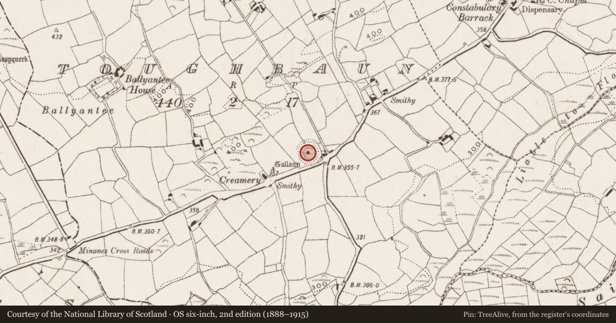 Ordnance Survey six-inch map, 2nd edition (1888–1915) covering the location of Ringfort - rath, Toughbaun, County Cork, with a pin at the register's coordinates