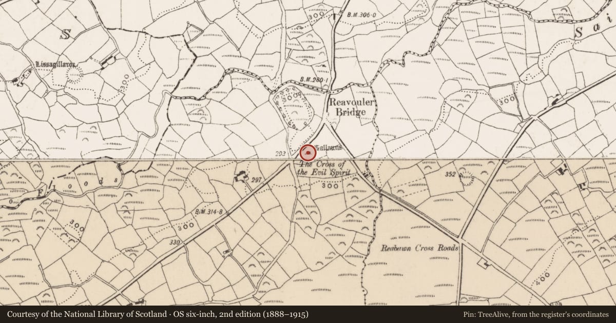 Ordnance Survey six-inch map, 2nd edition (1888–1915) covering the location of Standing stone, Reavouler, County Cork, with a pin at the register's coordinates