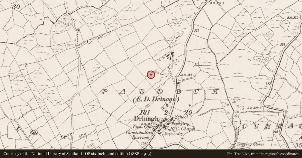 Ordnance Survey six-inch map, 2nd edition (1888–1915) covering the location of Ringfort - rath, Paddock (Carbery East (W.D) By., Drinagh Par.), County Cork, with a pin at the register's coordinates