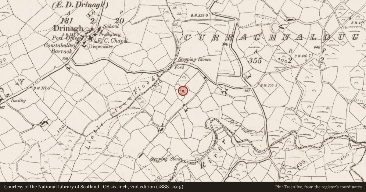 Ordnance Survey six-inch map, 2nd edition (1888–1915) covering the location of Ringfort - rath, Curraghnaloughra, County Cork, with a pin at the register's coordinates