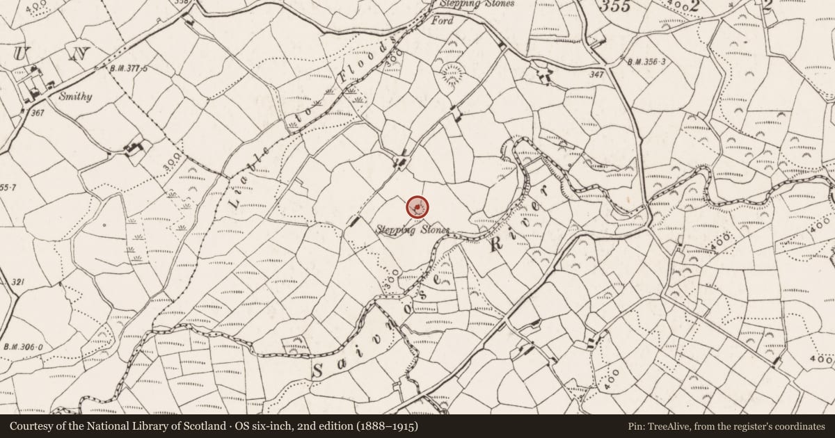 Ordnance Survey six-inch map, 2nd edition (1888–1915) covering the location of Ringfort - rath, Curraghnaloughra, County Cork, with a pin at the register's coordinates