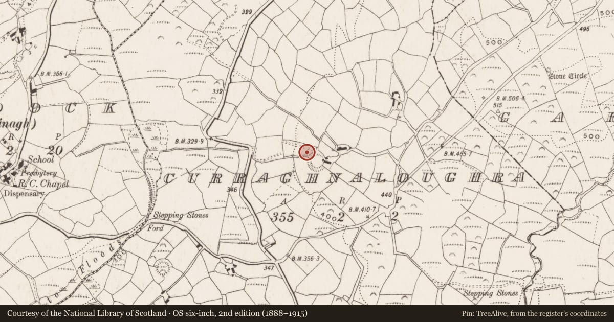Ordnance Survey six-inch map, 2nd edition (1888–1915) covering the location of Standing stone, Curraghnaloughra, County Cork, with a pin at the register's coordinates