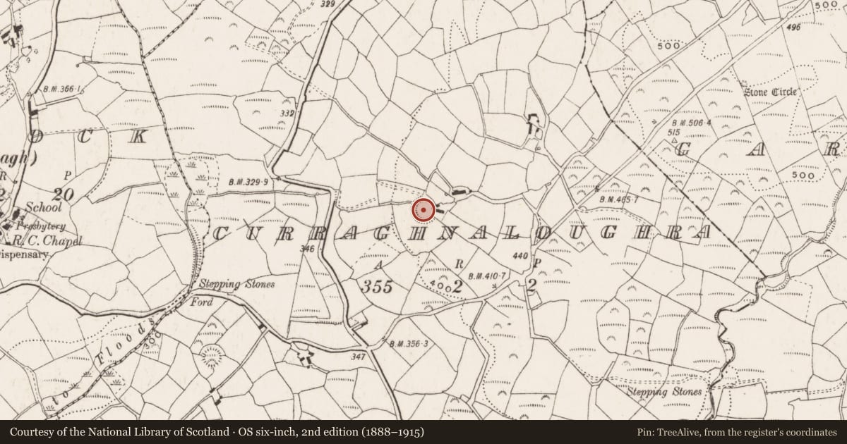Ordnance Survey six-inch map, 2nd edition (1888–1915) covering the location of Souterrain, Curraghnaloughra, County Cork, with a pin at the register's coordinates