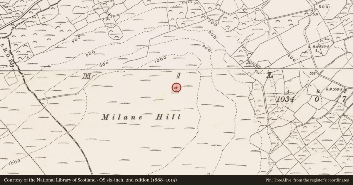 Ordnance Survey six-inch map, 2nd edition (1888–1915) covering the location of Megalithic tomb - wedge tomb, Milane, County Cork, with a pin at the register's coordinates