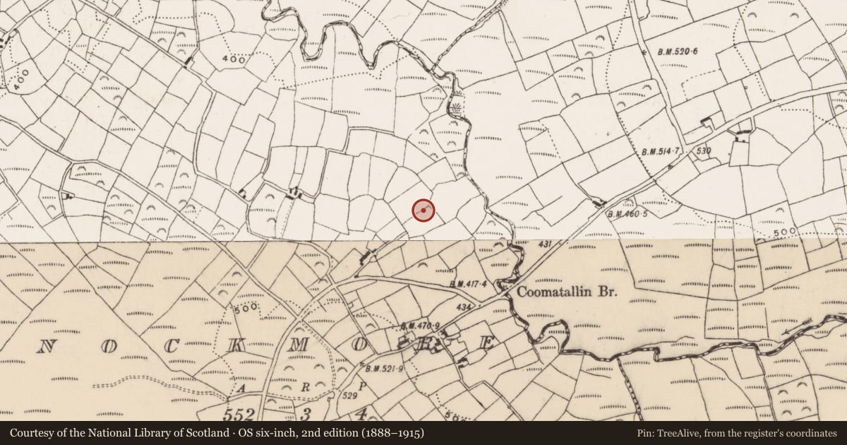 Ordnance Survey six-inch map, 2nd edition (1888–1915) covering the location of Hut site, Knockmore, County Cork, with a pin at the register's coordinates