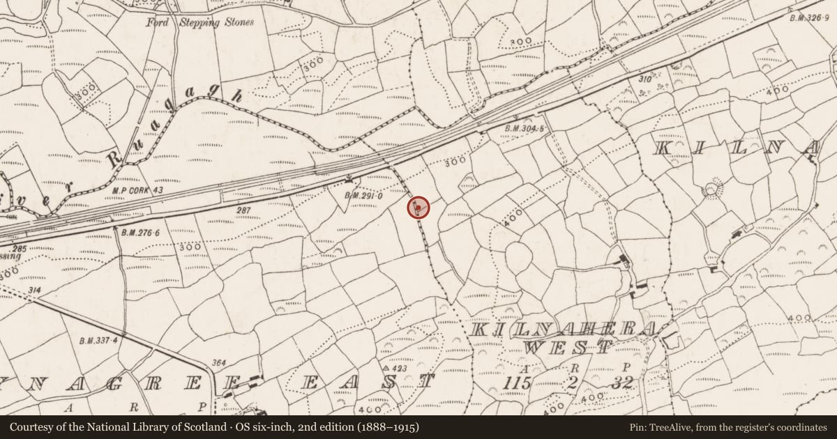 Ordnance Survey six-inch map, 2nd edition (1888–1915) covering the location of Hut site, Kilnahera West, County Cork, with a pin at the register's coordinates