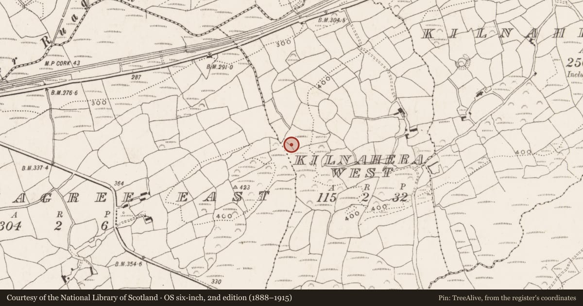Ordnance Survey six-inch map, 2nd edition (1888–1915) covering the location of Burnt mound, Kilnahera West, County Cork, with a pin at the register's coordinates