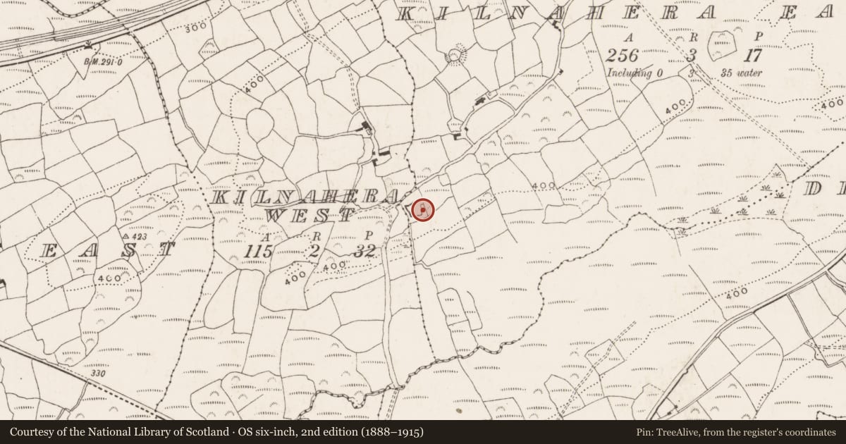 Ordnance Survey six-inch map, 2nd edition (1888–1915) covering the location of Fulacht fia, Kilnahera West, County Cork, with a pin at the register's coordinates