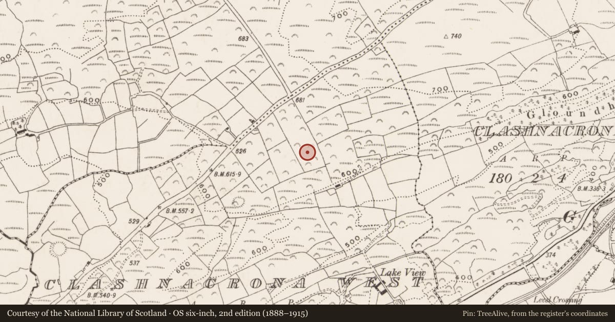 Ordnance Survey six-inch map, 2nd edition (1888–1915) covering the location of Rock art, Clashnacrona West, County Cork, with a pin at the register's coordinates