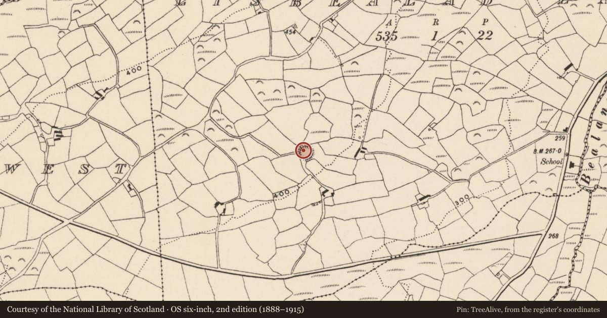 Ordnance Survey six-inch map, 2nd edition (1888–1915) covering the location of Ringfort - rath, Lisbealad East, County Cork, with a pin at the register's coordinates