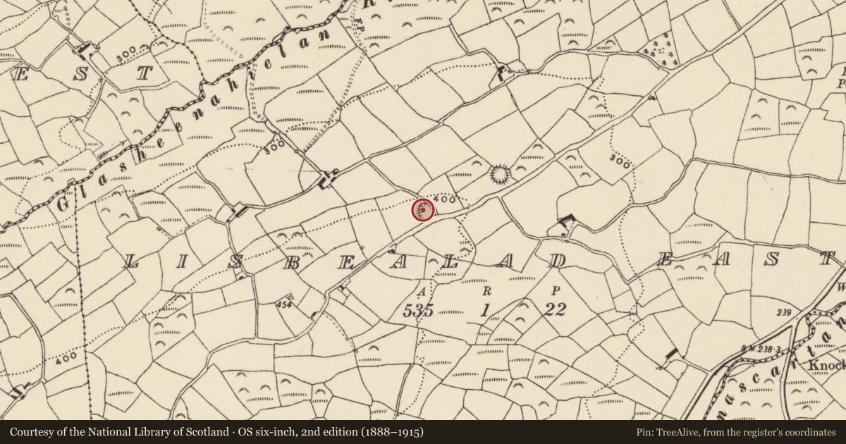 Ordnance Survey six-inch map, 2nd edition (1888–1915) covering the location of Souterrain, Lisbealad East, County Cork, with a pin at the register's coordinates