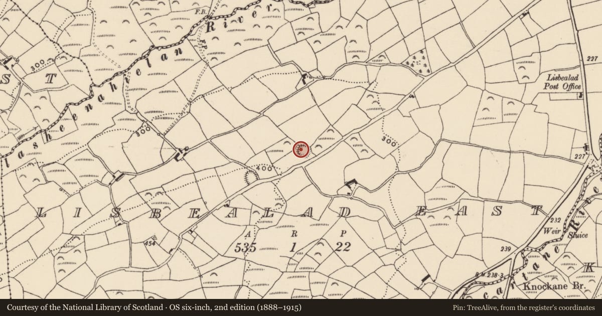 Ordnance Survey six-inch map, 2nd edition (1888–1915) covering the location of Ringfort - rath, Lisbealad East, County Cork, with a pin at the register's coordinates