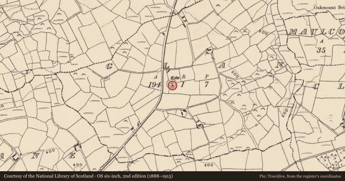Ordnance Survey six-inch map, 2nd edition (1888–1915) covering the location of Ringfort - rath, Glan, County Cork, with a pin at the register's coordinates