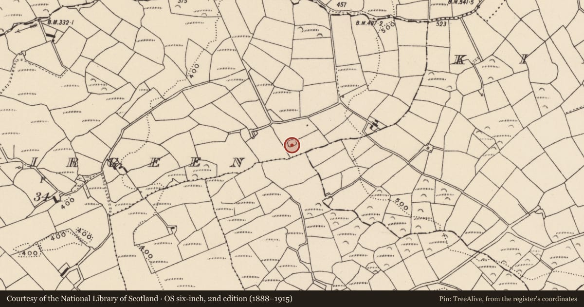 Ordnance Survey six-inch map, 2nd edition (1888–1915) covering the location of Ringfort - rath, Cloonkirgeen, County Cork, with a pin at the register's coordinates