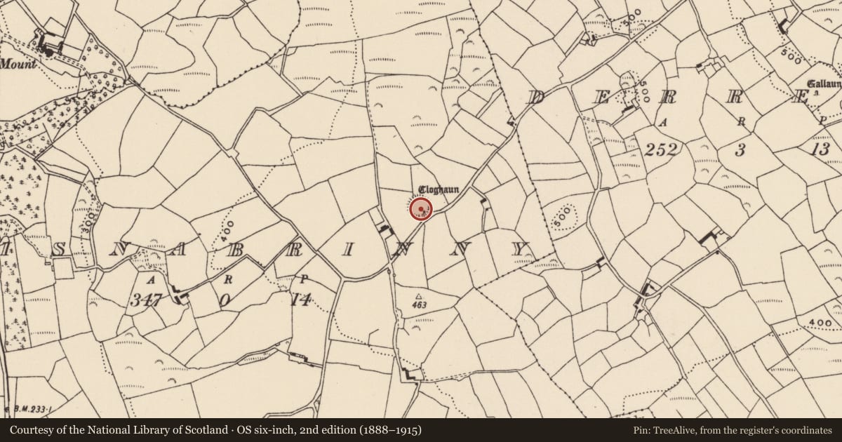 Ordnance Survey six-inch map, 2nd edition (1888–1915) covering the location of Ringfort - rath, Lisnabrinny, County Cork, with a pin at the register's coordinates