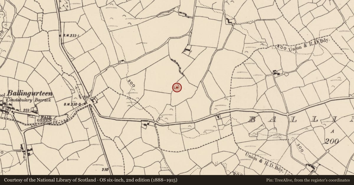 Ordnance Survey six-inch map, 2nd edition (1888–1915) covering the location of Ringfort - cashel, Lisnabrinny, County Cork, with a pin at the register's coordinates