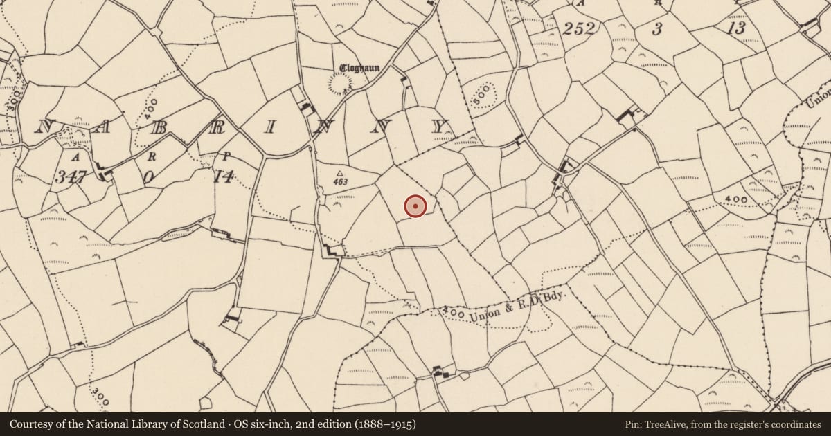 Ordnance Survey six-inch map, 2nd edition (1888–1915) covering the location of Cairn - unclassified, Lisnabrinny, County Cork, with a pin at the register's coordinates