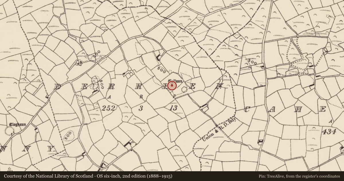 Ordnance Survey six-inch map, 2nd edition (1888–1915) covering the location of Standing stone, Derreen, County Cork, with a pin at the register's coordinates