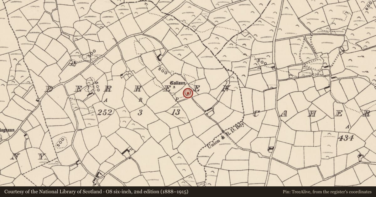 Ordnance Survey six-inch map, 2nd edition (1888–1915) covering the location of Ringfort - rath, Derreen, County Cork, with a pin at the register's coordinates