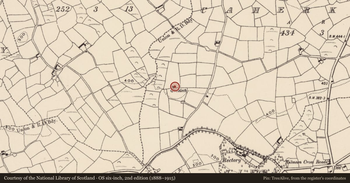 Ordnance Survey six-inch map, 2nd edition (1888–1915) covering the location of Standing stone, Caherkirky, County Cork, with a pin at the register's coordinates