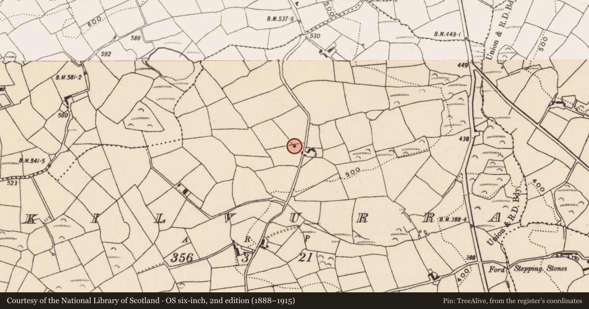 Ordnance Survey six-inch map, 2nd edition (1888–1915) covering the location of Souterrain, Kilvurra, County Cork, with a pin at the register's coordinates