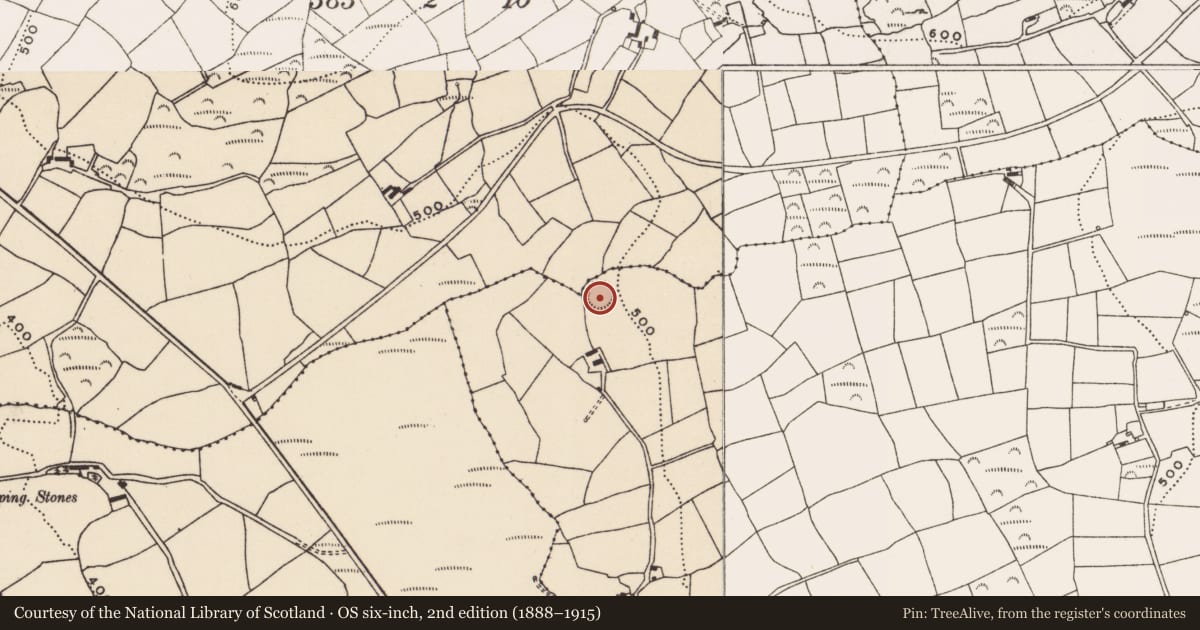Ordnance Survey six-inch map, 2nd edition (1888–1915) covering the location of Ringfort - rath, Carhoovauler, County Cork, with a pin at the register's coordinates