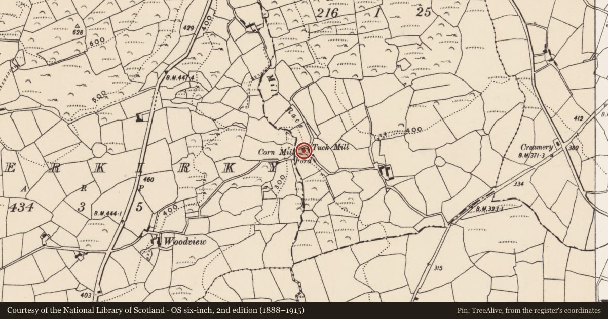 Ordnance Survey six-inch map, 2nd edition (1888–1915) covering the location of Milling complex, Kilbeloge, County Cork, with a pin at the register's coordinates