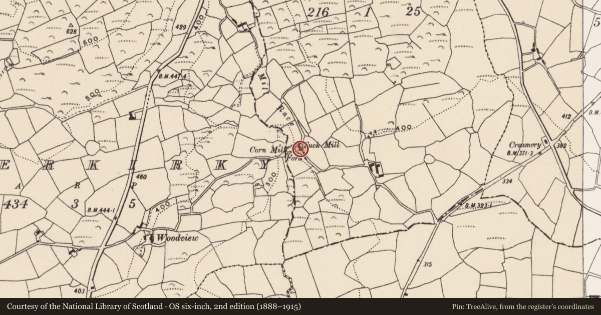 Ordnance Survey six-inch map, 2nd edition (1888–1915) covering the location of Mill - fulling, Kilbeloge, County Cork, with a pin at the register's coordinates