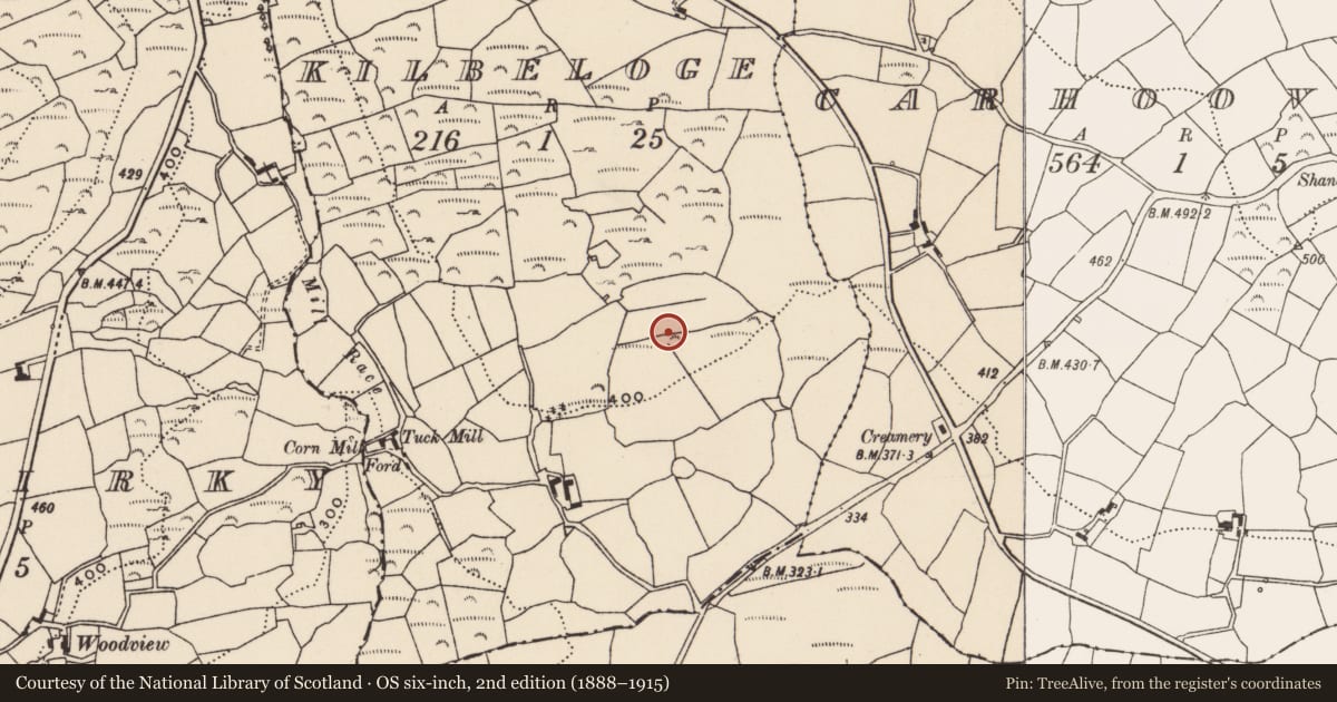 Ordnance Survey six-inch map, 2nd edition (1888–1915) covering the location of Burial ground, Kilbeloge, County Cork, with a pin at the register's coordinates