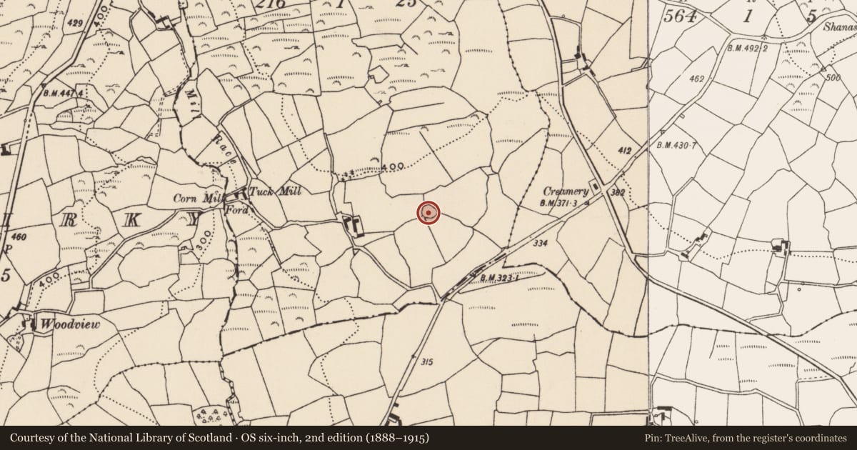 Ordnance Survey six-inch map, 2nd edition (1888–1915) covering the location of Ringfort - rath, Kilbeloge, County Cork, with a pin at the register's coordinates