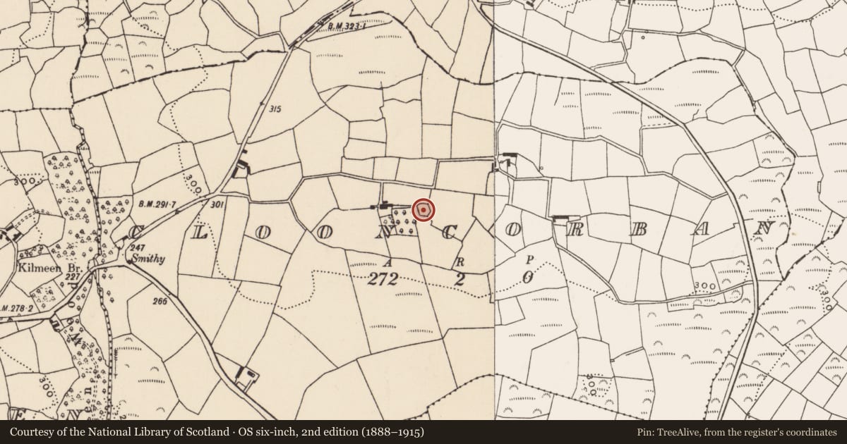 Ordnance Survey six-inch map, 2nd edition (1888–1915) covering the location of Ringfort - rath, Clooncorban, County Cork, with a pin at the register's coordinates