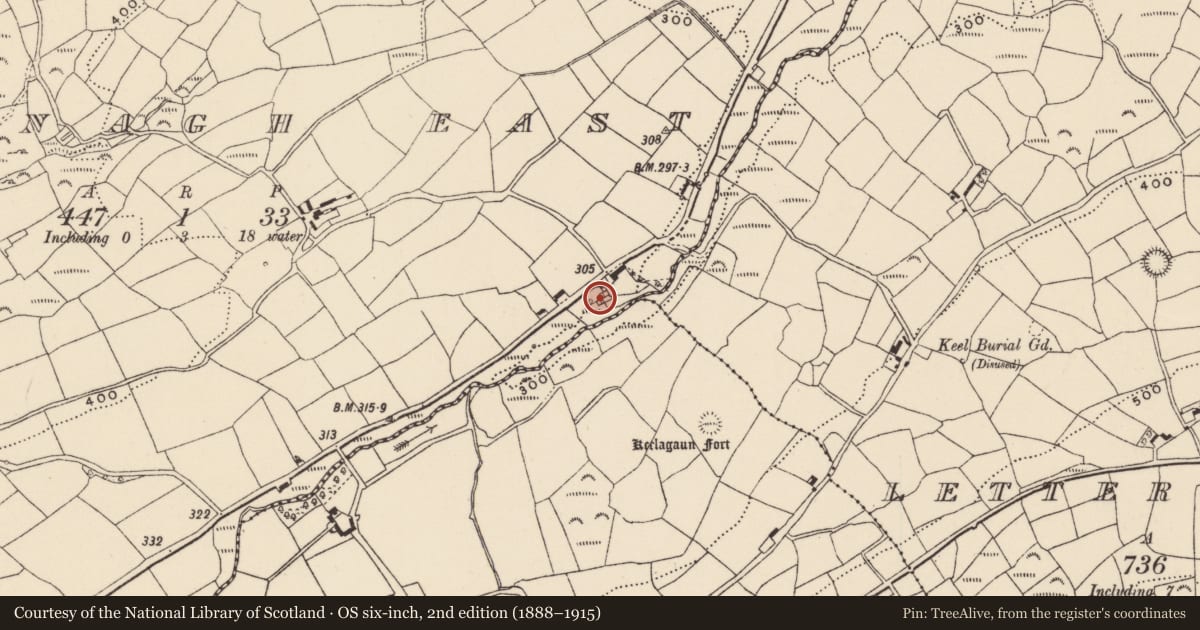 Ordnance Survey six-inch map, 2nd edition (1888–1915) covering the location of Mill - corn, Drinagh East, County Cork, with a pin at the register's coordinates