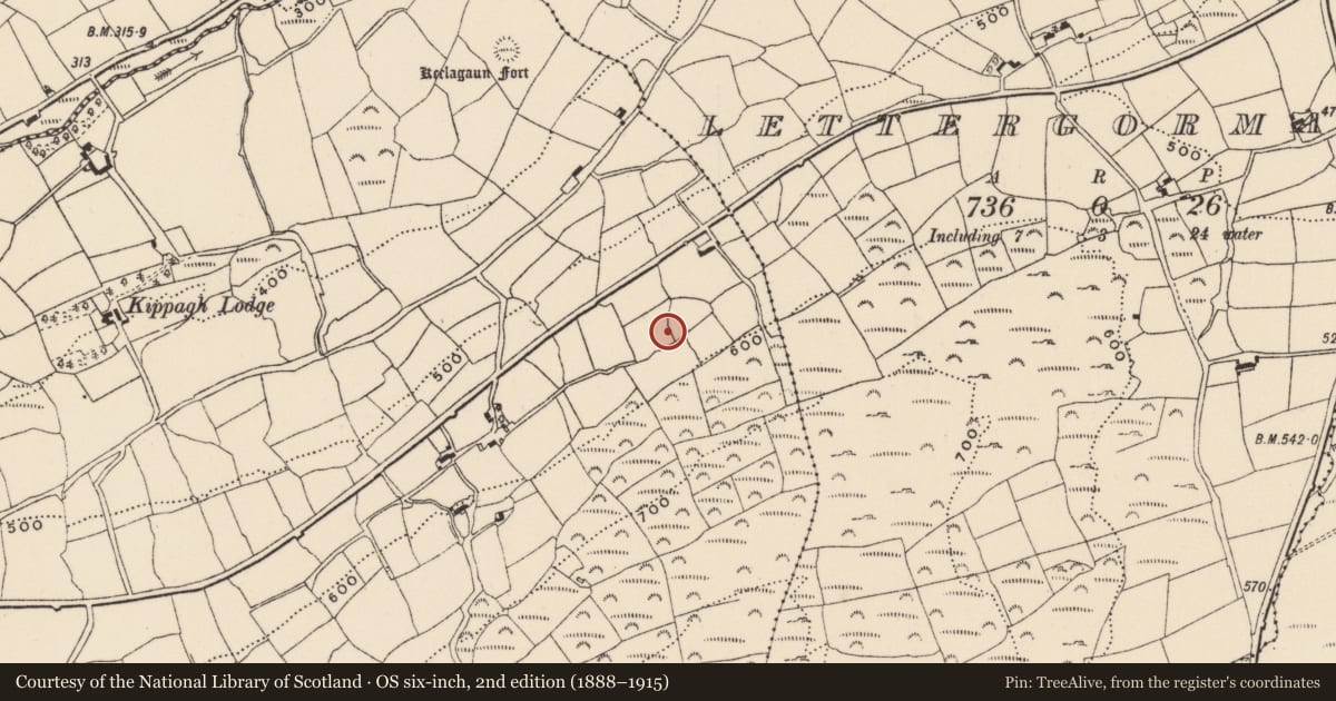 Ordnance Survey six-inch map, 2nd edition (1888–1915) covering the location of Ringfort - rath, Kippagh, County Cork, with a pin at the register's coordinates