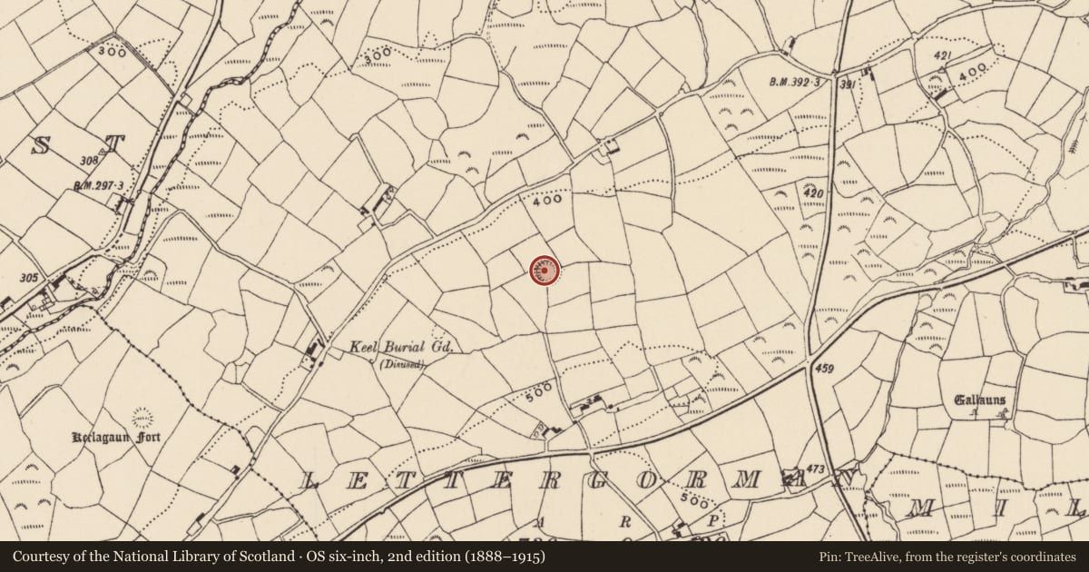 Ordnance Survey six-inch map, 2nd edition (1888–1915) covering the location of Ringfort - rath, Lettergorman, County Cork, with a pin at the register's coordinates