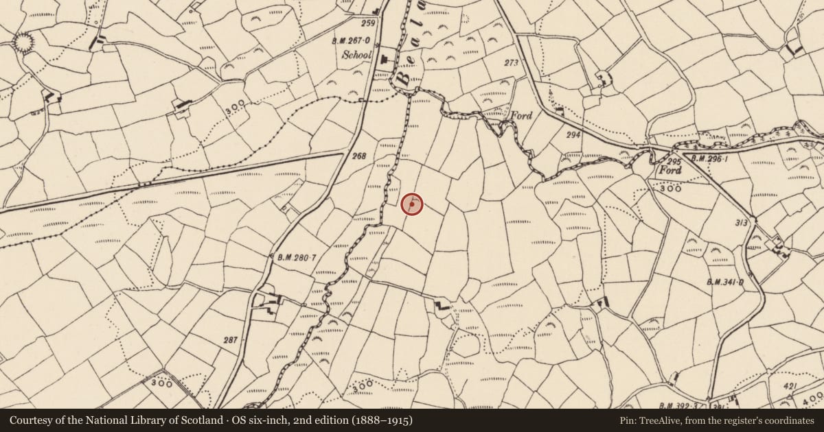 Ordnance Survey six-inch map, 2nd edition (1888–1915) covering the location of Souterrain, Lettergorman, County Cork, with a pin at the register's coordinates
