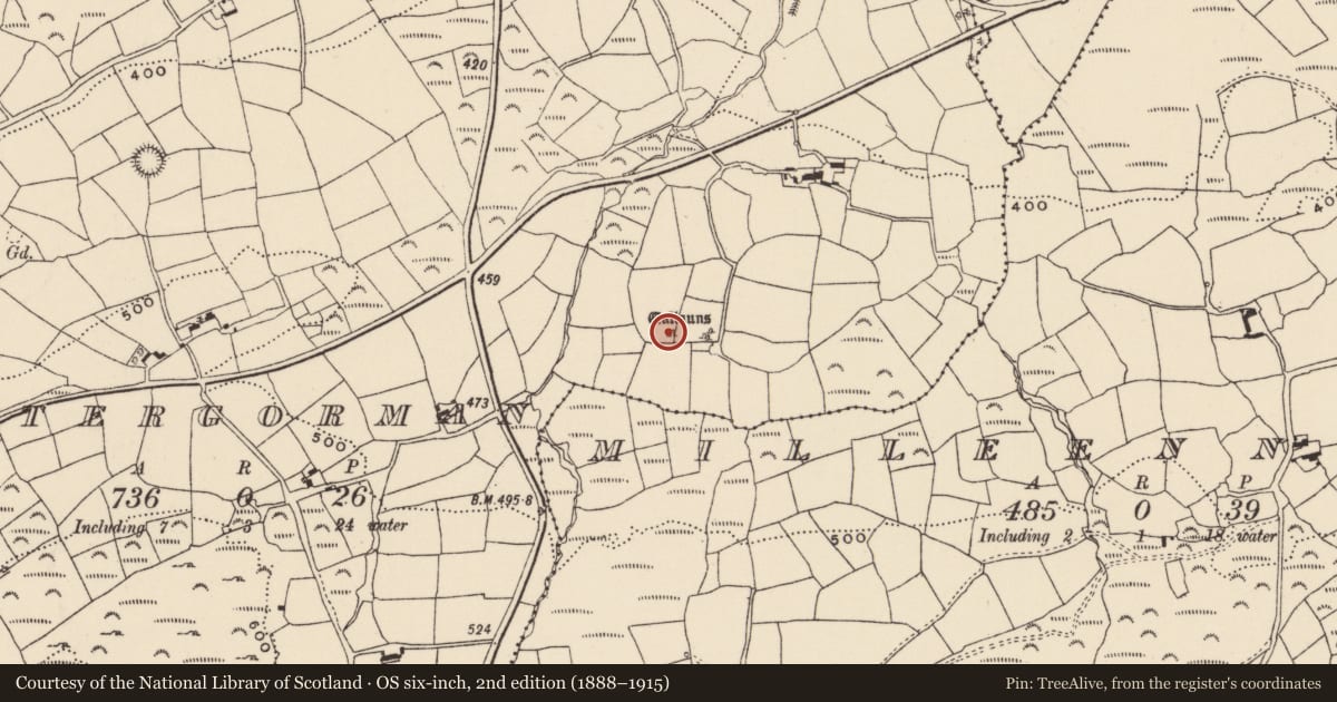 Ordnance Survey six-inch map, 2nd edition (1888–1915) covering the location of Standing stone, Lettergorman, County Cork, with a pin at the register's coordinates