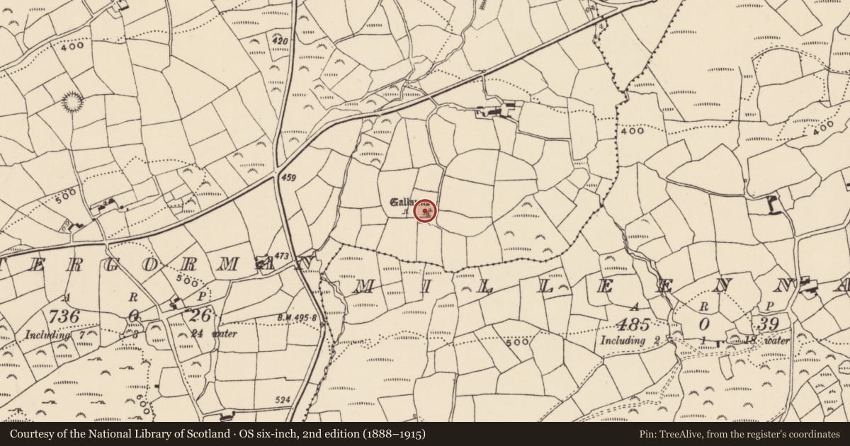 Ordnance Survey six-inch map, 2nd edition (1888–1915) covering the location of Four poster, Lettergorman, County Cork, with a pin at the register's coordinates